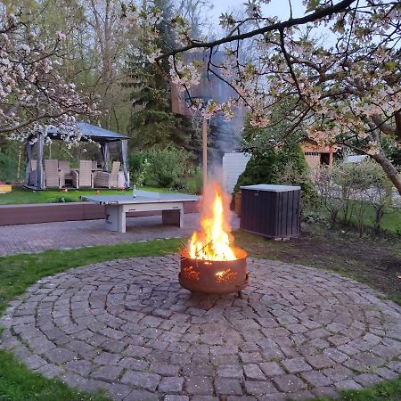 Grosszuegige Ferienwohnung Am Waldesrand Im Seenland Lauta Экстерьер фото