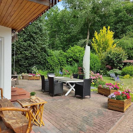 Grosszuegige Ferienwohnung Am Waldesrand Im Seenland Lauta Экстерьер фото