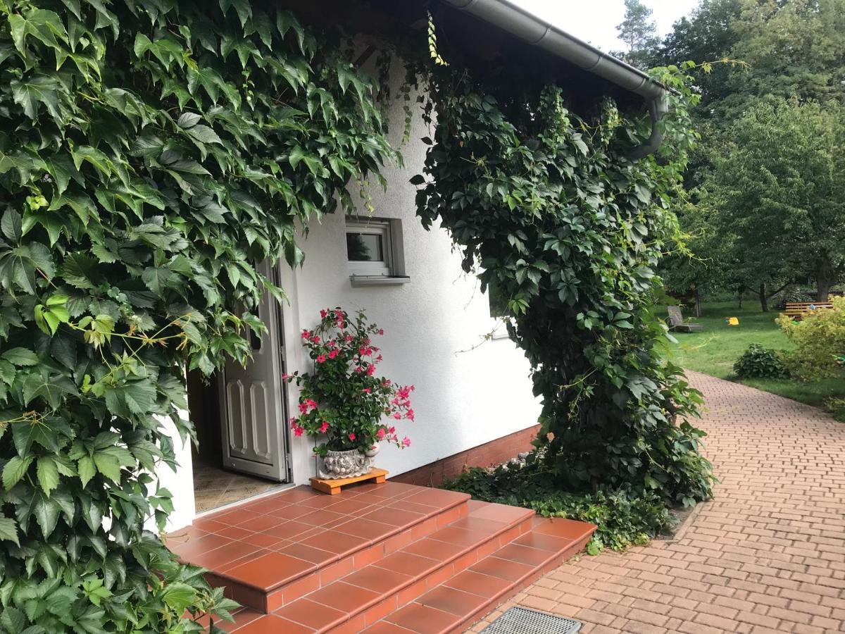 Grosszuegige Ferienwohnung Am Waldesrand Im Seenland Lauta Экстерьер фото
