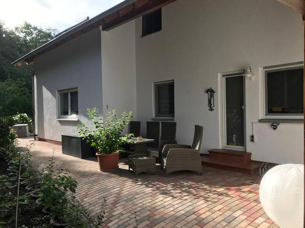 Grosszuegige Ferienwohnung Am Waldesrand Im Seenland Lauta Экстерьер фото