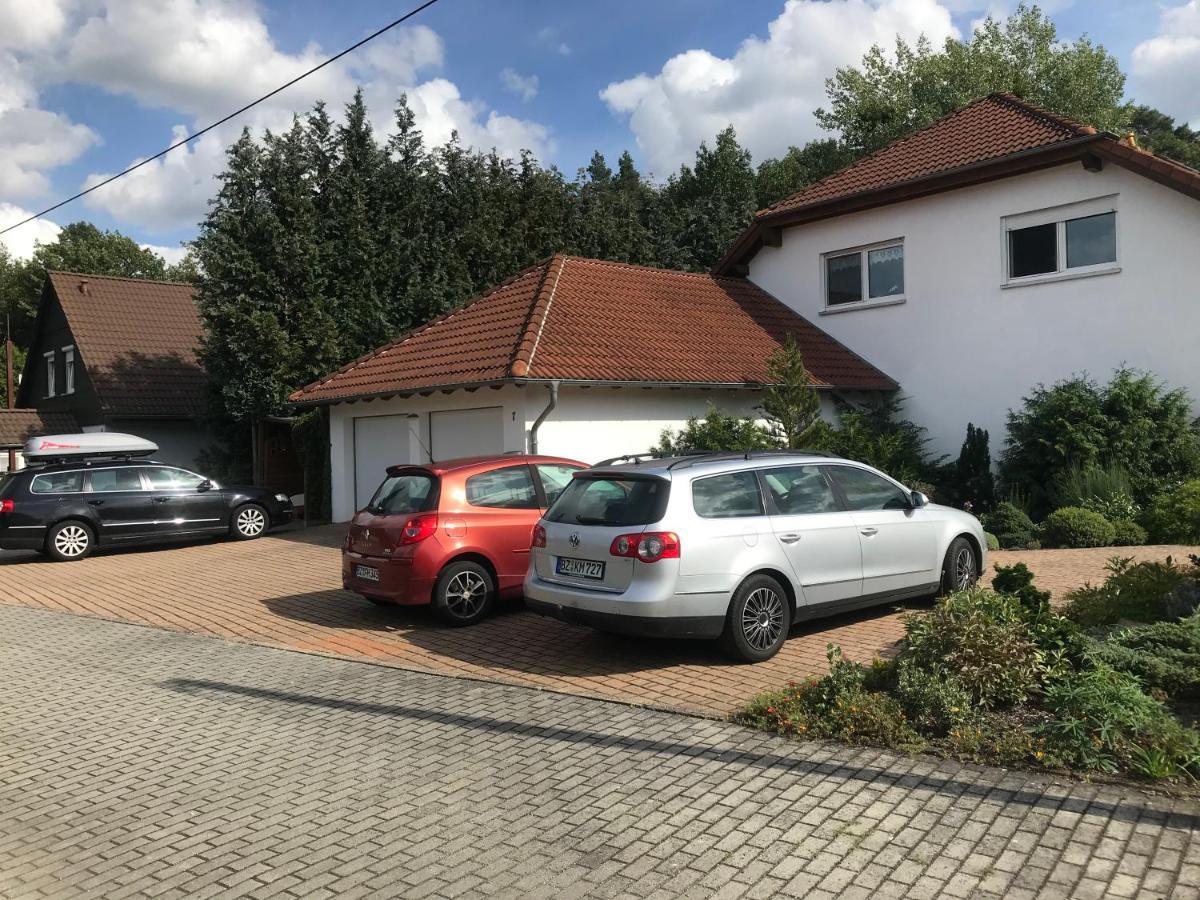 Grosszuegige Ferienwohnung Am Waldesrand Im Seenland Lauta Экстерьер фото