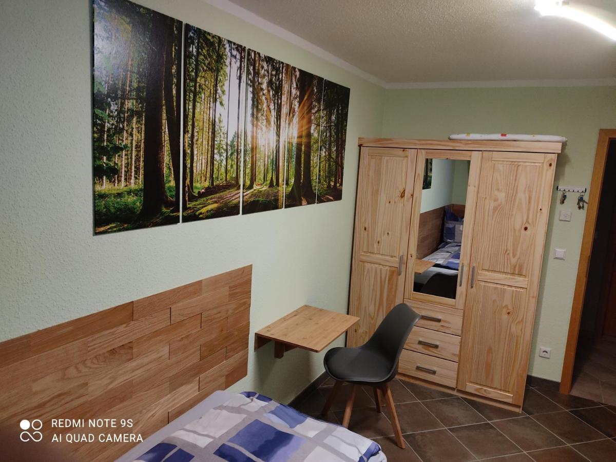 Grosszuegige Ferienwohnung Am Waldesrand Im Seenland Lauta Экстерьер фото