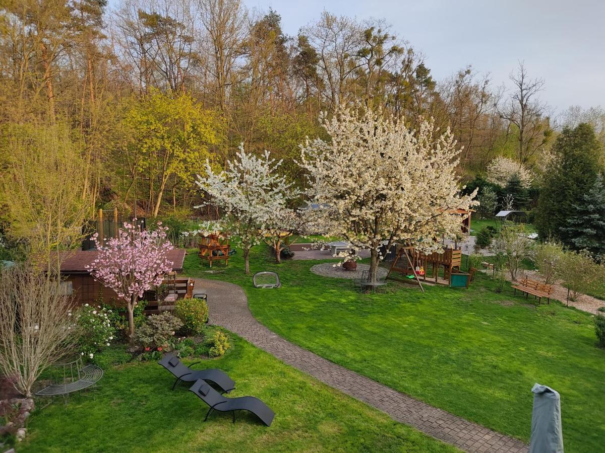 Grosszuegige Ferienwohnung Am Waldesrand Im Seenland Lauta Экстерьер фото